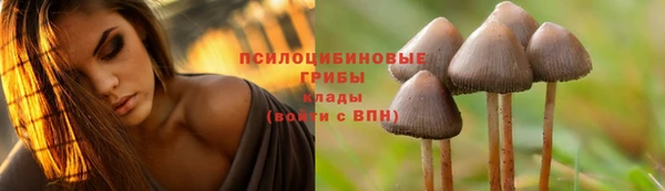 бошки Алзамай