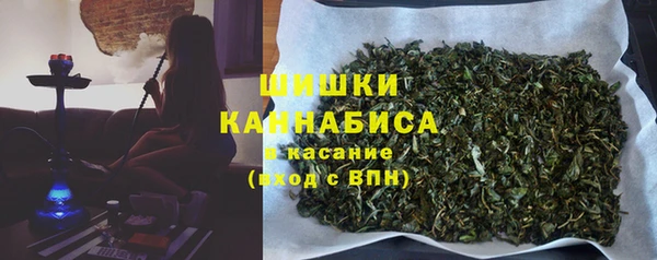 индика Козловка