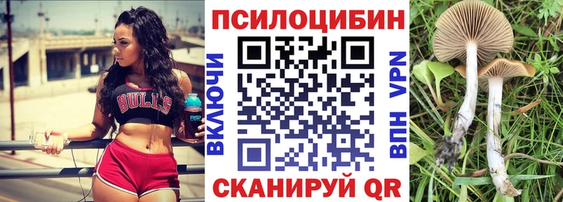 ОМГ ОМГ зеркало  Анжеро-Судженск  Галлюциногенные грибы мухоморы 