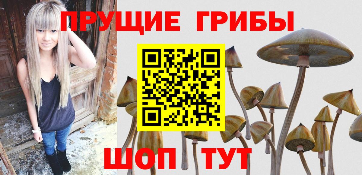 Анжеро-Судженск  Псилоцибиновые грибы Psilocybe  Вход с VPN 