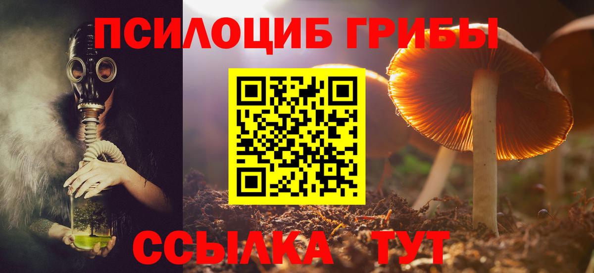 Галлюциногенные грибы мухоморы Анжеро-Судженск