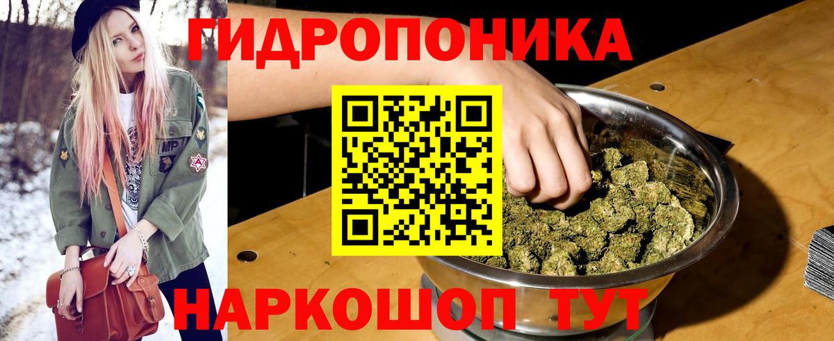 Шишки марихуана конопля  МАРИХУАНА OG Kush  Вход с VPN  Анжеро-Судженск  МАРИХУАНА VHQ 